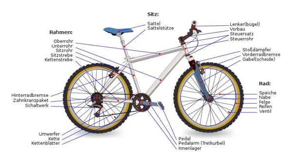 Velo Details